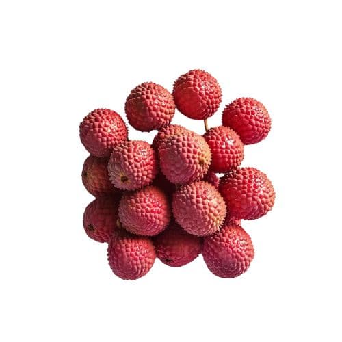 Litchi